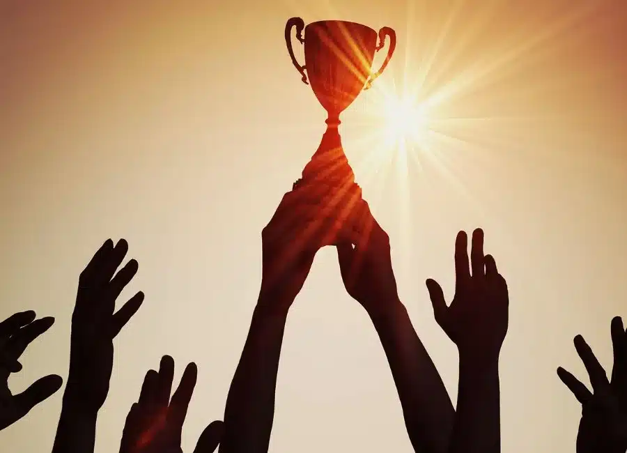Award-Winning SEO Team