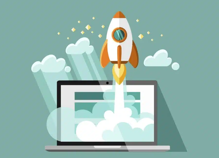 Delivery & Website Launch